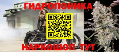 шишки Ликино-Дулёво