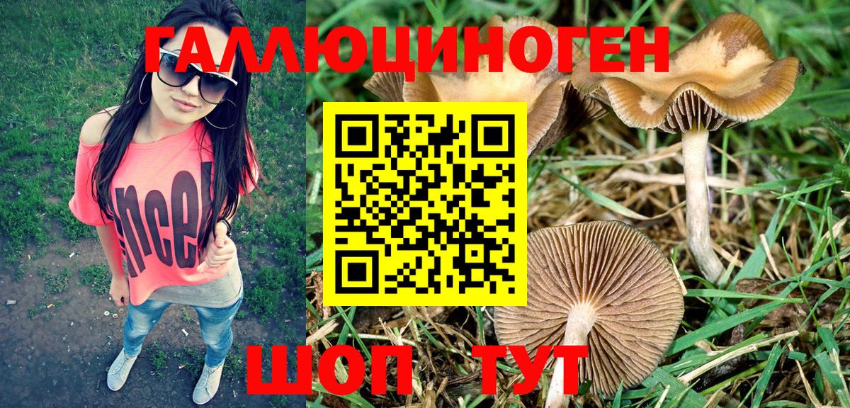 Галлюциногенные грибы Psilocybine cubensis Грязи
