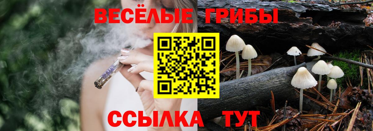 Галлюциногенные грибы ЛСД  Вход с VPN  Галлюциногенные грибы MAGIC MUSHROOMS  Грязи 
